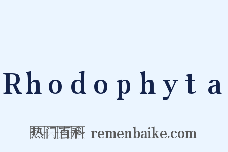 Rhodophyta是什么意思的图片